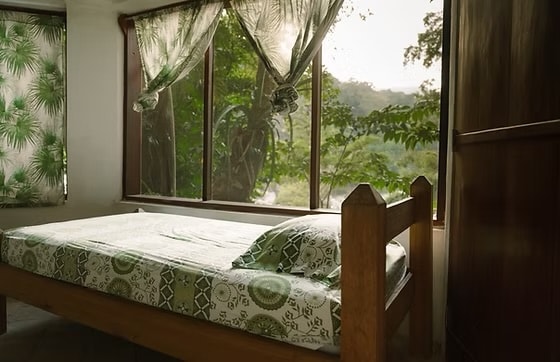 Caribbean nature near Honduras